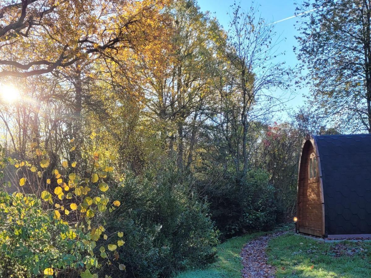 Pods Alte Schule Apartment Elchweiler Luaran gambar