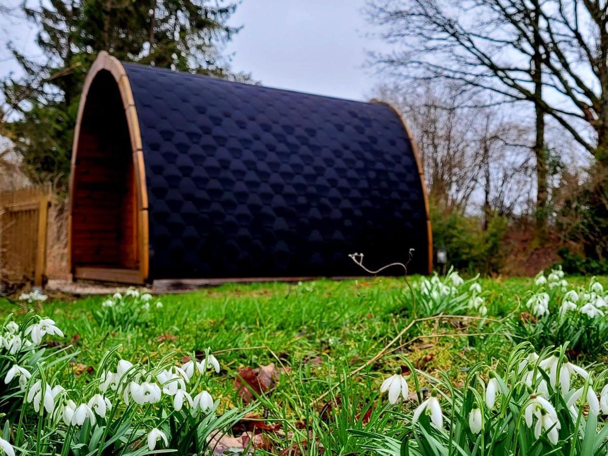Pods Alte Schule Apartment Elchweiler Luaran gambar